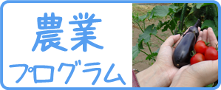 農業プログラム