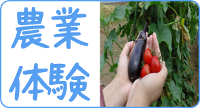 農業体験