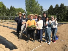 2018年ゴールデンウィークの農業ボランティア